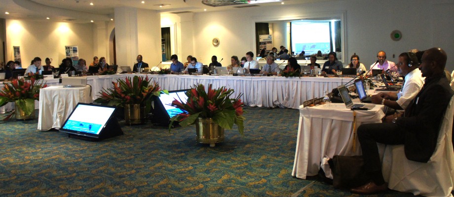Participantes de la Conferencia de las partes del Convenio de Cartagena
