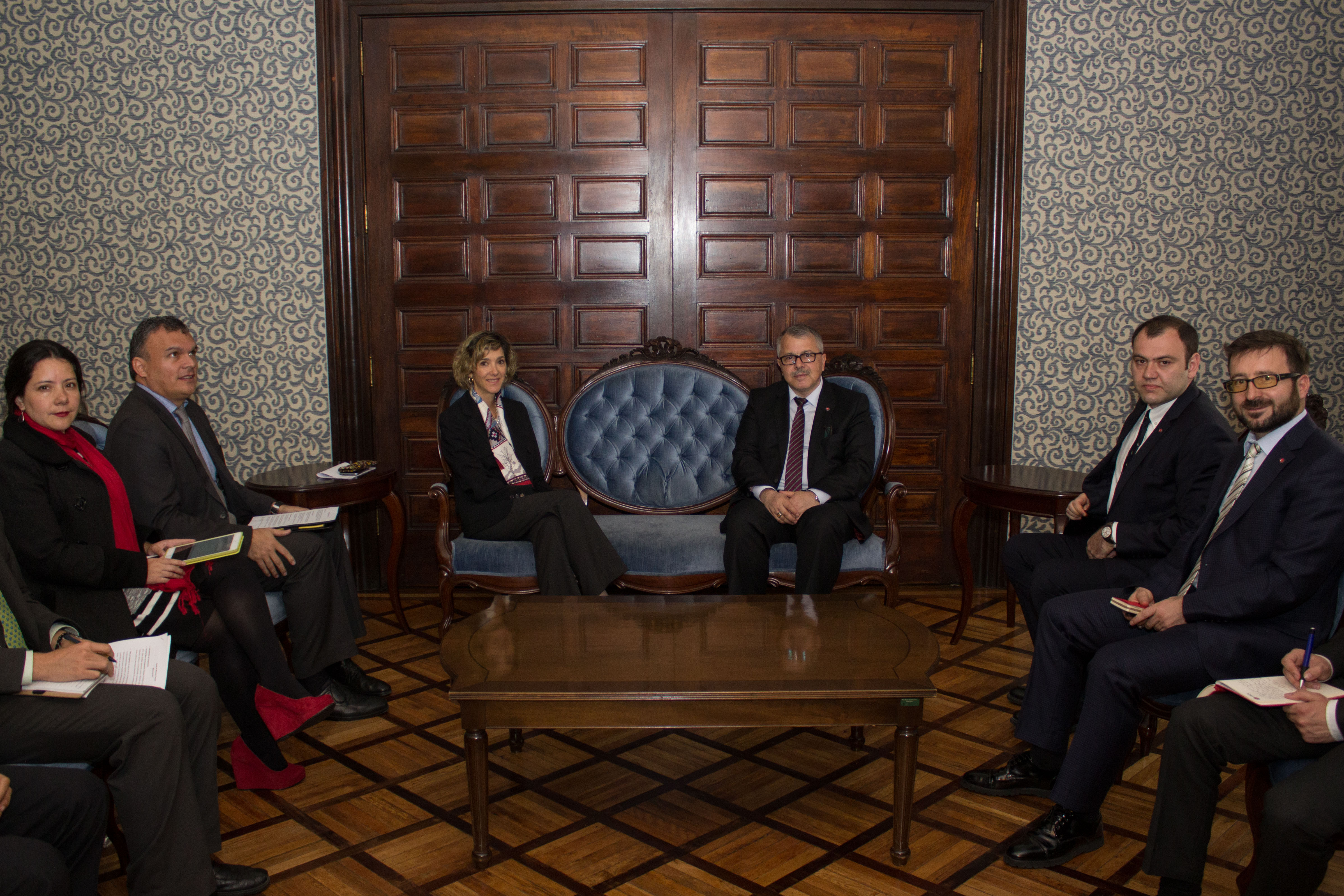 La Viceministra de Relaciones Exteriores se reunió con el Vicepresidente de la Agencia de Cooperación y Coordinación turca