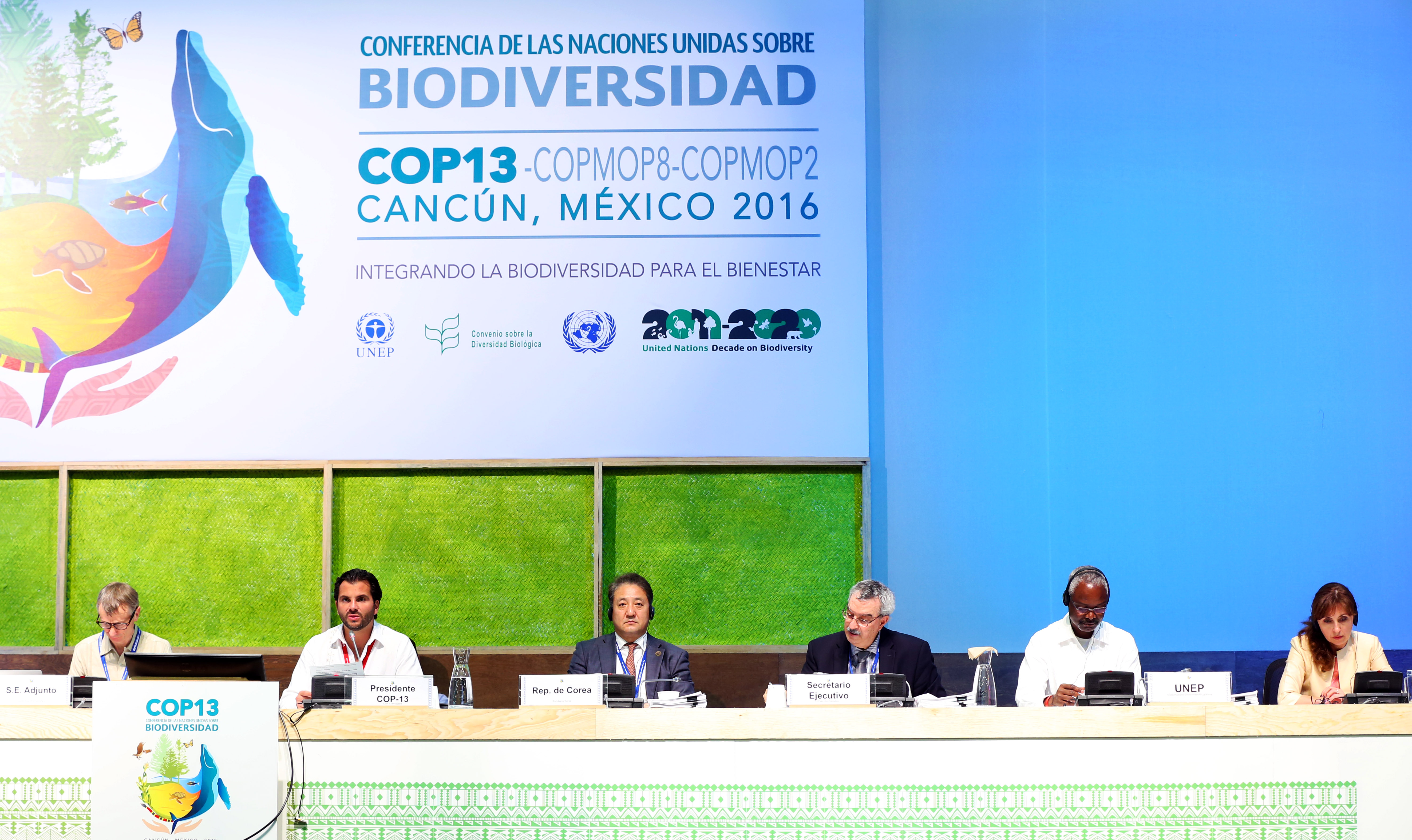 Del 4 al 17 de diciembre se está llevando a cabo la 13 Conferencia de las Partes (COP) del Convenio sobre Diversidad Biológica (CBD) en Cancún, México, en donde se reúnen los países parte, así como los principales actores relacionados con la gestión, uso sostenible y conservación de la biodiversidad a nivel mundial.