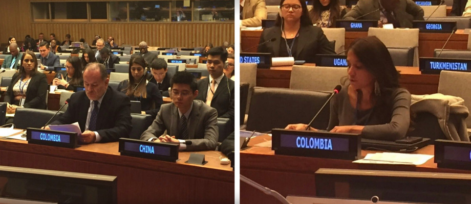 Colombia participó en el 54 periodo de sesiones de la Comisión de Desarrollo Social del Ecosoc 