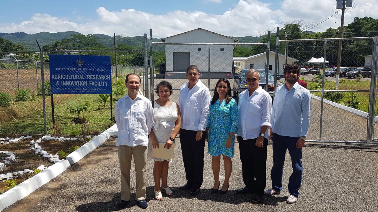 Colombia inaugura el primer proyecto de inversión para el desarrollo en un país socio: " Planta Procesadora de Harina de Yuca en Jamaica"