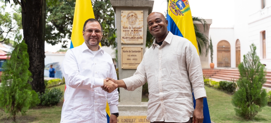 Cancilleres de Colombia y Venezuela revisan logros y avances de la Comisión de Vecindad e Integración