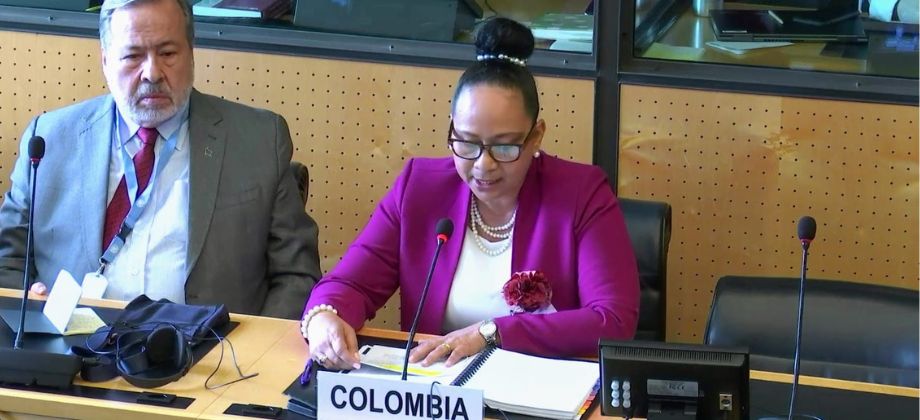 “La nueva política exterior de derechos humanos de Colombia busca generar condiciones de desarrollo sostenible, justo e igualitario”. Viceministra Elizabeth Taylor Jay, ante el Comité contra la Tortura en Ginebra