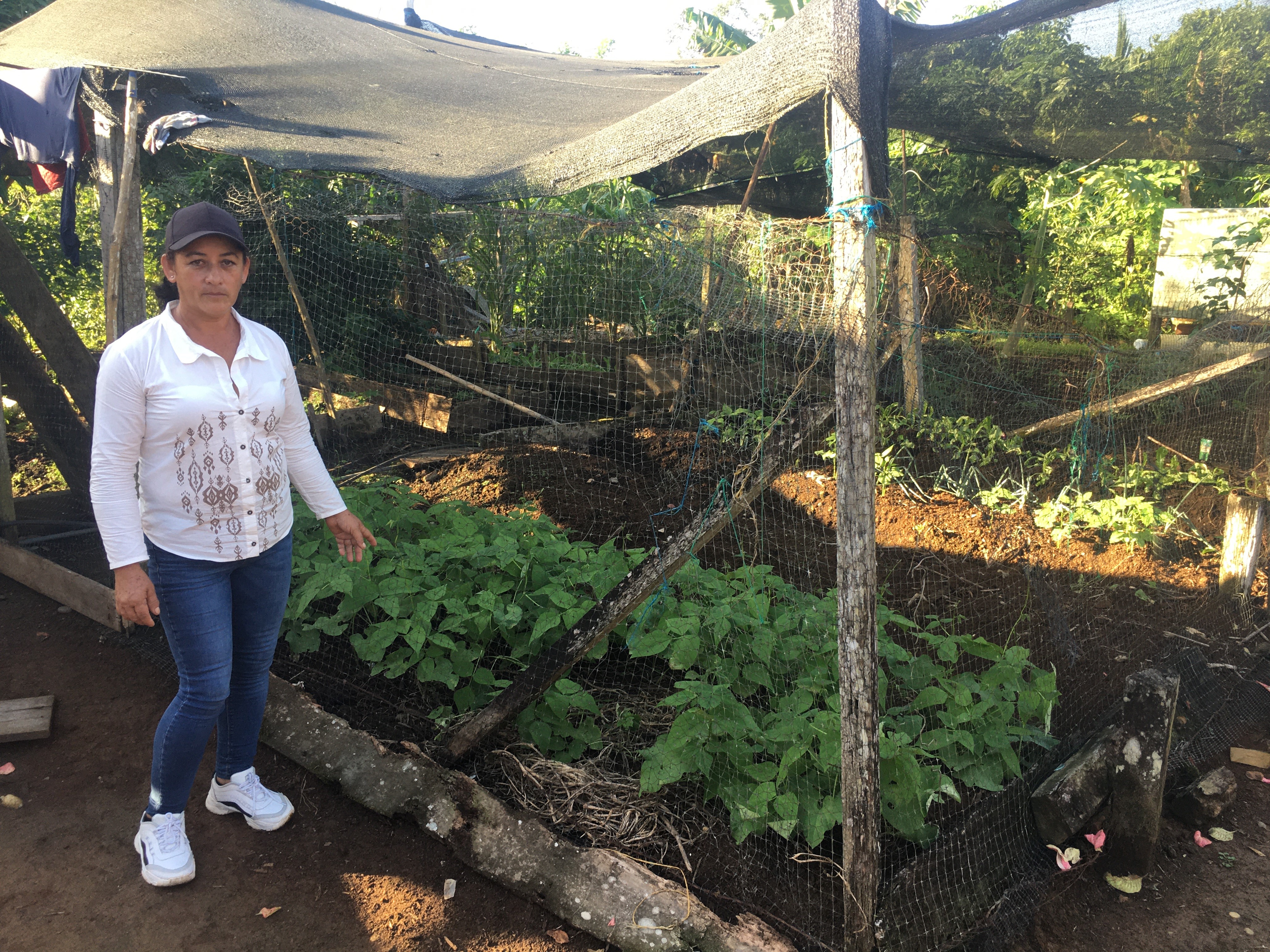 Dirección de Fronteras implementó un proyecto para contribuir a la seguridad, soberanía y autonomía alimentaria de 150 familias rurales de Puerto Asís y Valle del Guamuez