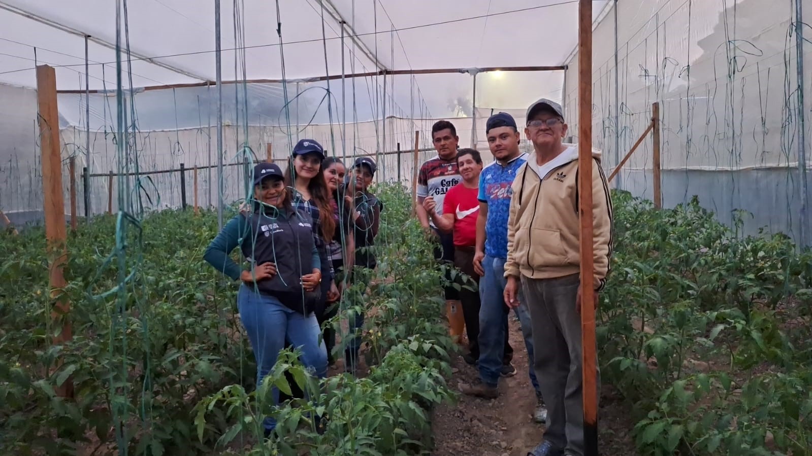 Cancillería y Fundación Promigas desarrollan proyecto de emprendimiento, agricultura, seguridad alimentaria y asociatividad con comunidad de la vereda La Mesa del municipio de Toledo, Norte de Santander