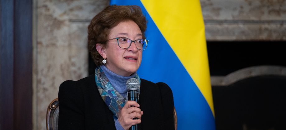 Embajadora Alicia Alfaro, Viceministra (e) de Asuntos Multilaterales