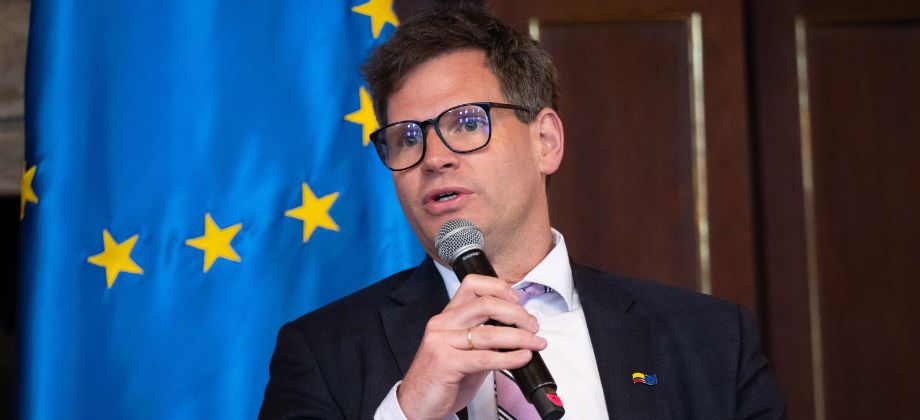 Joerg Schreiber, Jefe de la Sección Política de la Delegación de la Unión Europea en Colombia