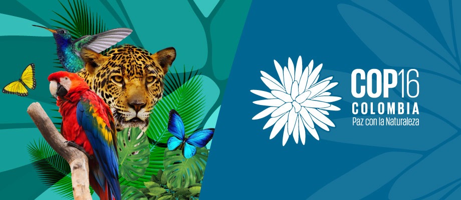 Desde la Cancillería explicamos qué es la COP16 del Convenio sobre Diversidad Biológica y por qué es tan importante para Colombia