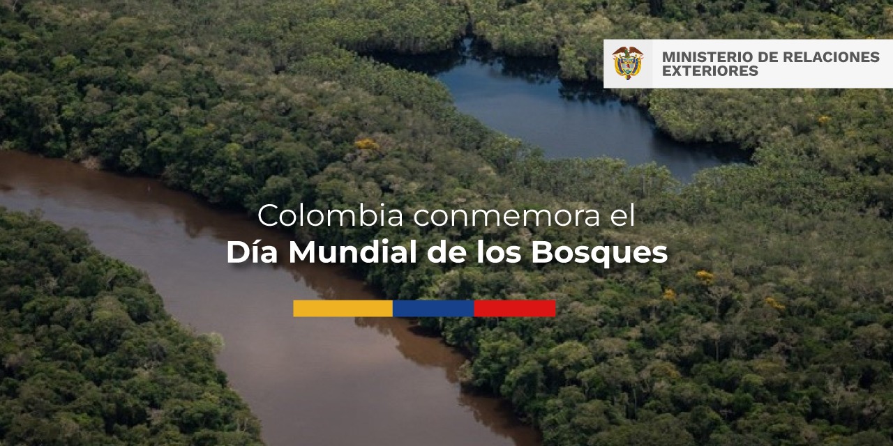 Colombia conmemora el Día Mundial de los Bosques