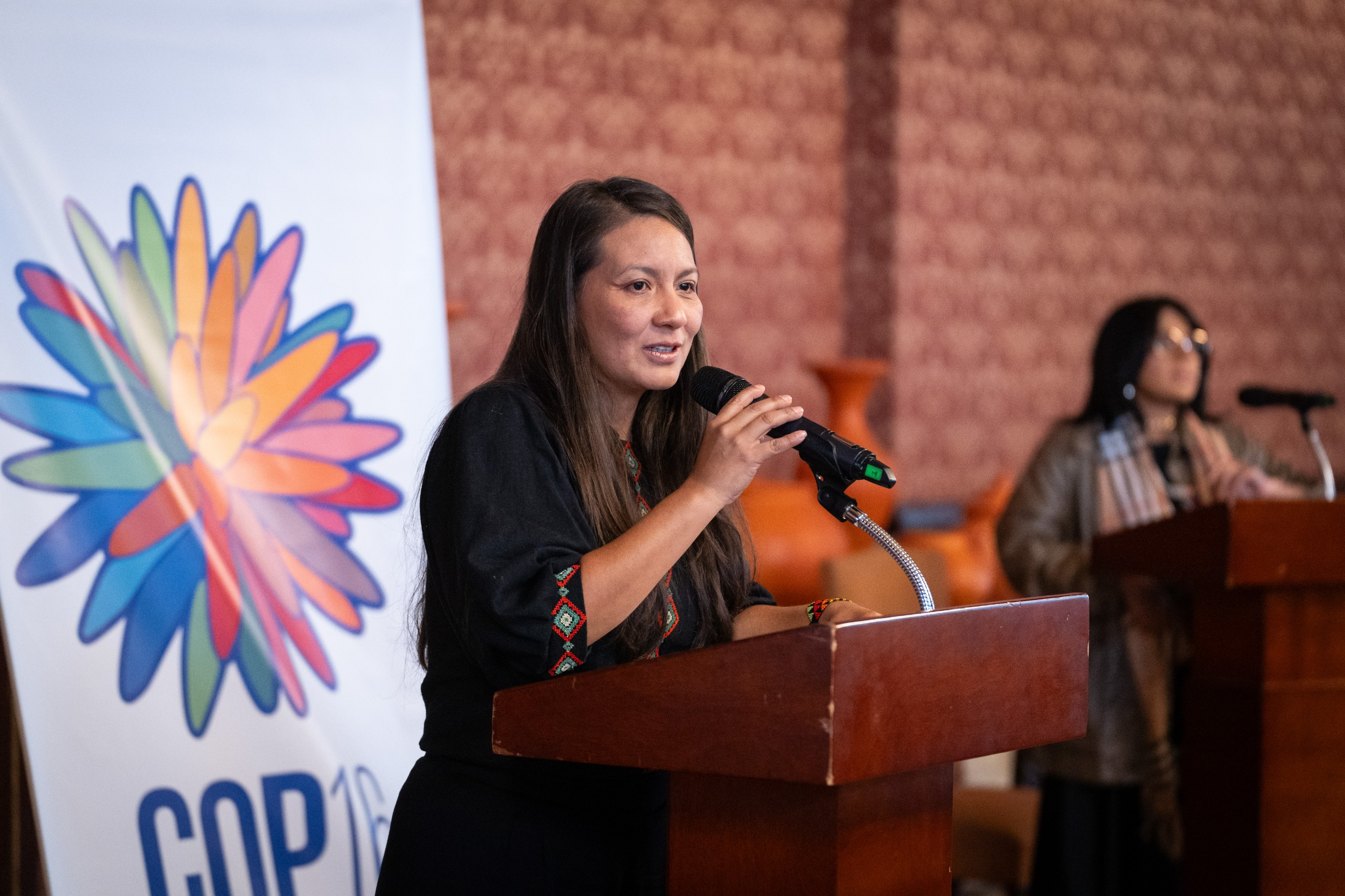 Delegaciones indígenas se preparan para la COP16 en curso especializado de la Academia Diplomática
