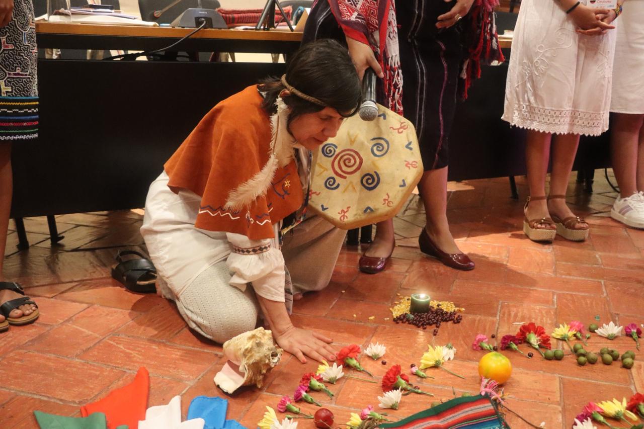 Reunión Iberoamericana de Organizaciones Feministas e Indígenas coordinada por la Oficina Regional de ONU Mujeres para las Américas y el Caribe y FILAC