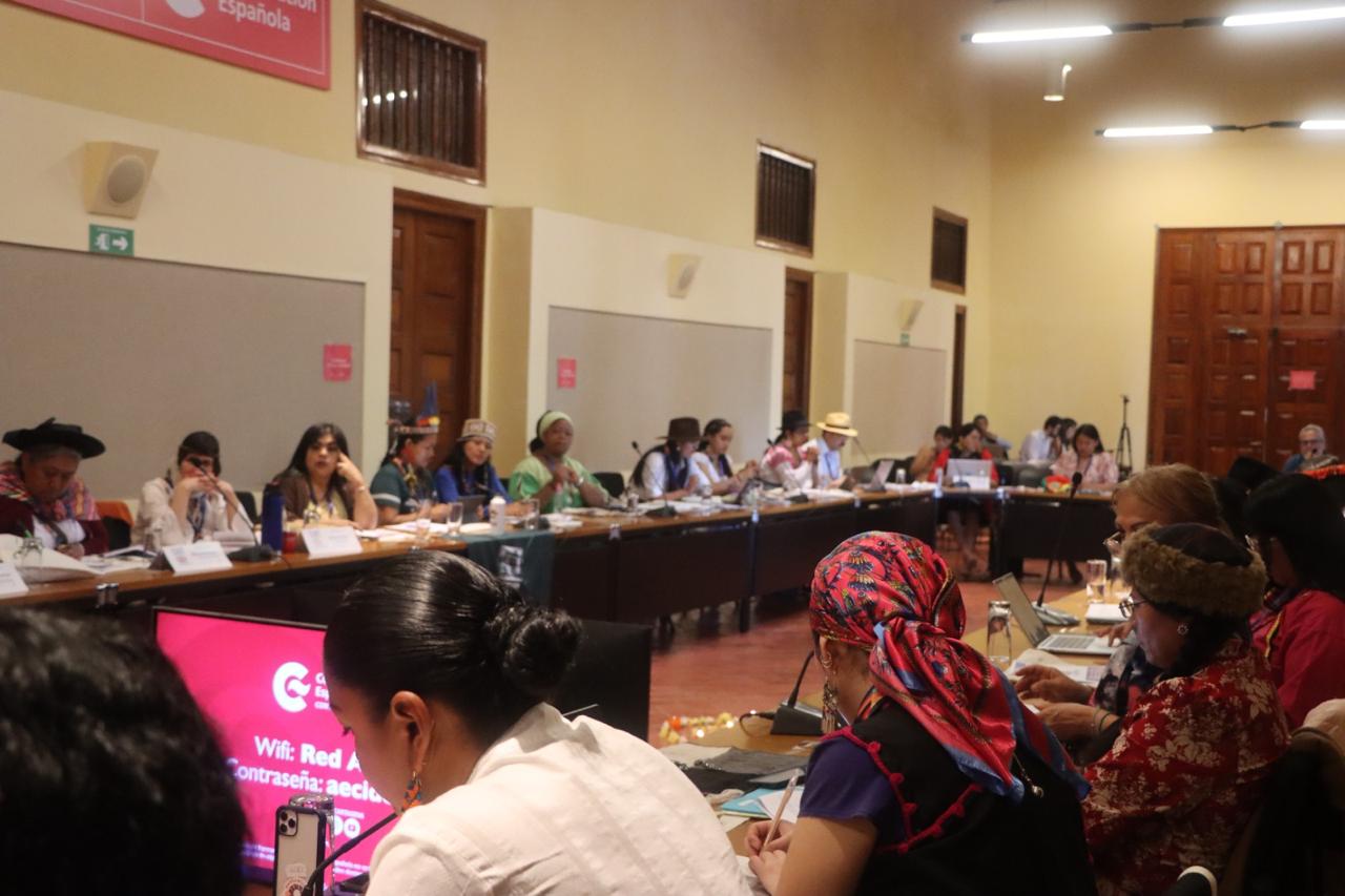 Reunión Iberoamericana de Organizaciones Feministas e Indígenas coordinada por la Oficina Regional de ONU Mujeres para las Américas y el Caribe y FILAC