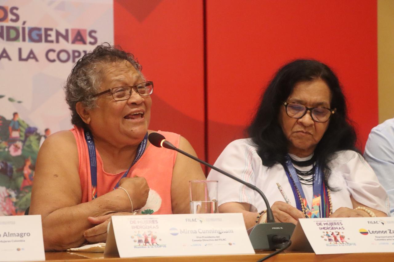 Reunión Iberoamericana de Organizaciones Feministas e Indígenas coordinada por la Oficina Regional de ONU Mujeres para las Américas y el Caribe y FILAC