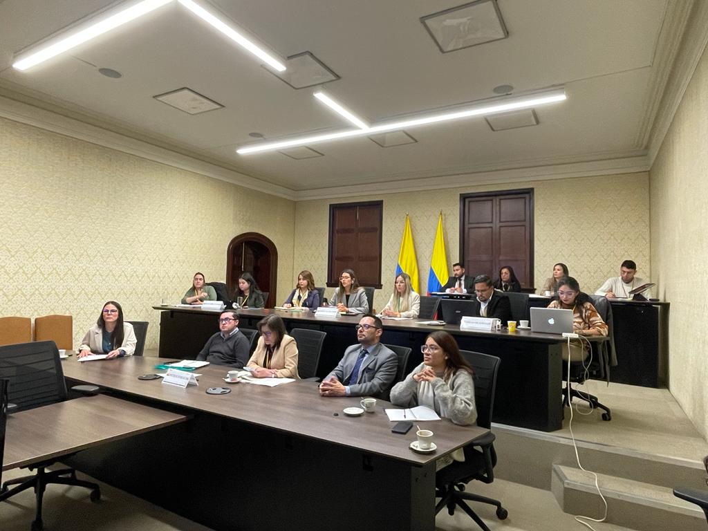 Estado colombiano participó en dos Reuniones de Trabajo convocadas por la Comisión Interamericana de Derechos Humanos