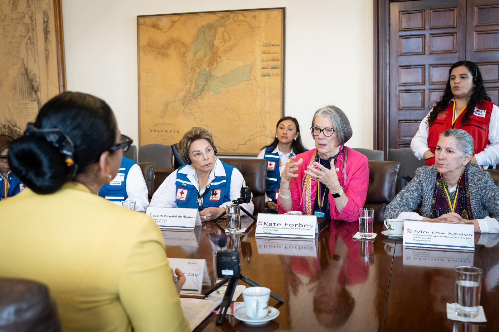 Viceministra de Asuntos Multilaterales, Elizabeth Taylor Jay, recibió a la Presidenta de la Federación Internacional de Sociedades de la Cruz Roja y de la Media Luna Roja (IFRC), Kate Forbes