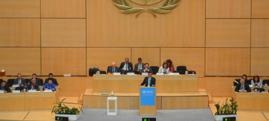  Asamblea Mundial de la Salud que se realizó en Ginebra 