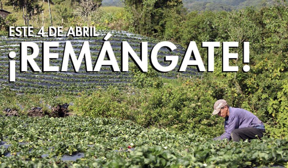  Colombia libre minas 