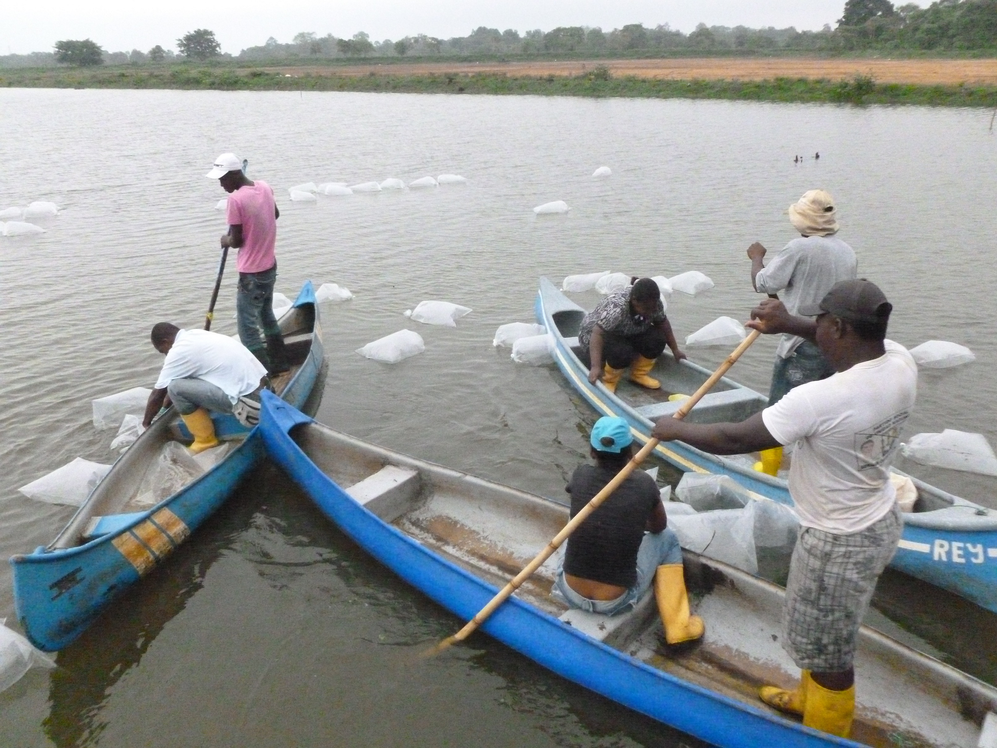 Familias de Tumaco pescando gracias al Plan Fronteras para la Prosperidad