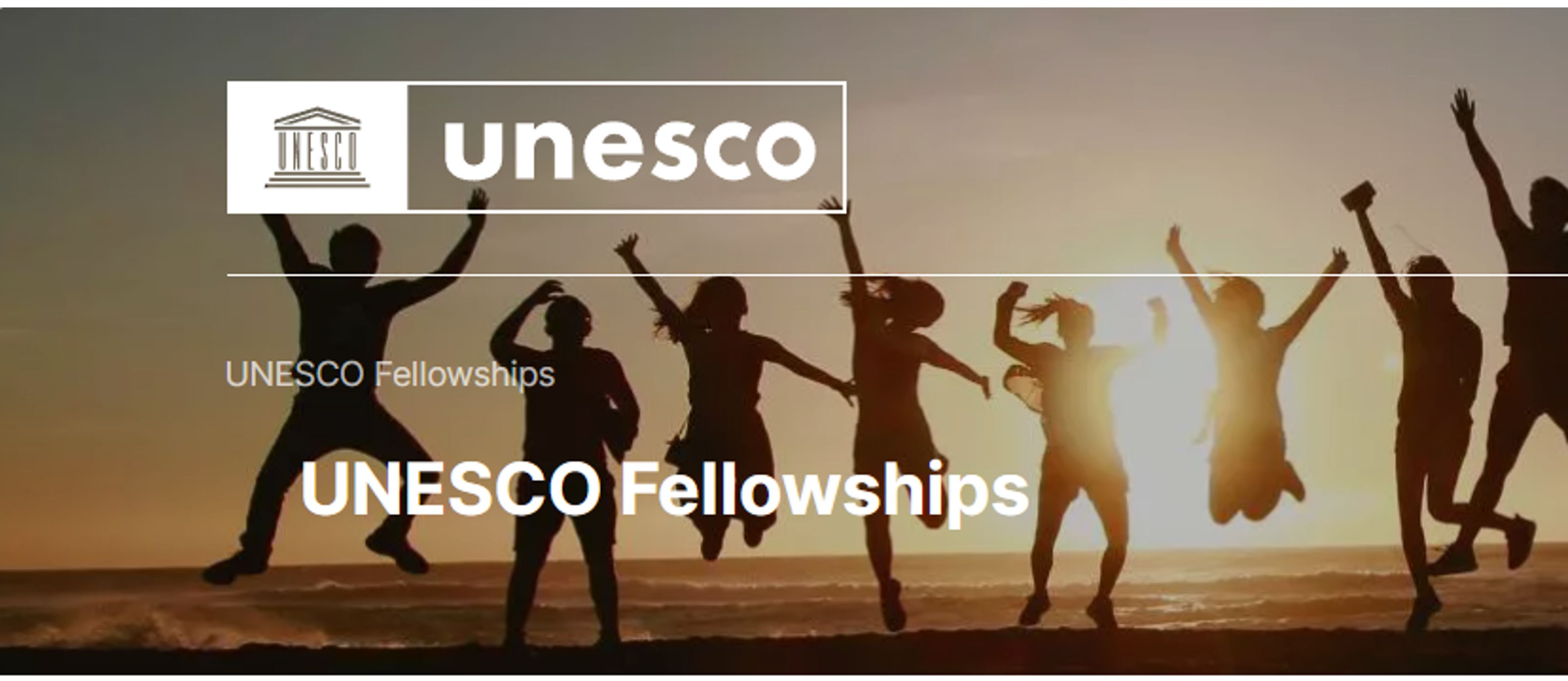 Convocatoria UNESCO/The People's Republic of China - The Great Wall Co-Sponsored Fellowships Programme 2025-2026