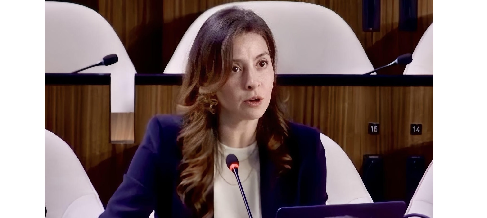 Durante la 221ª sesión del consejo ejecutivo de la UNESCO, Colombia hizo un llamado a liberar a la hoja de coca de la estigmatización que la ha marcado durante décadas