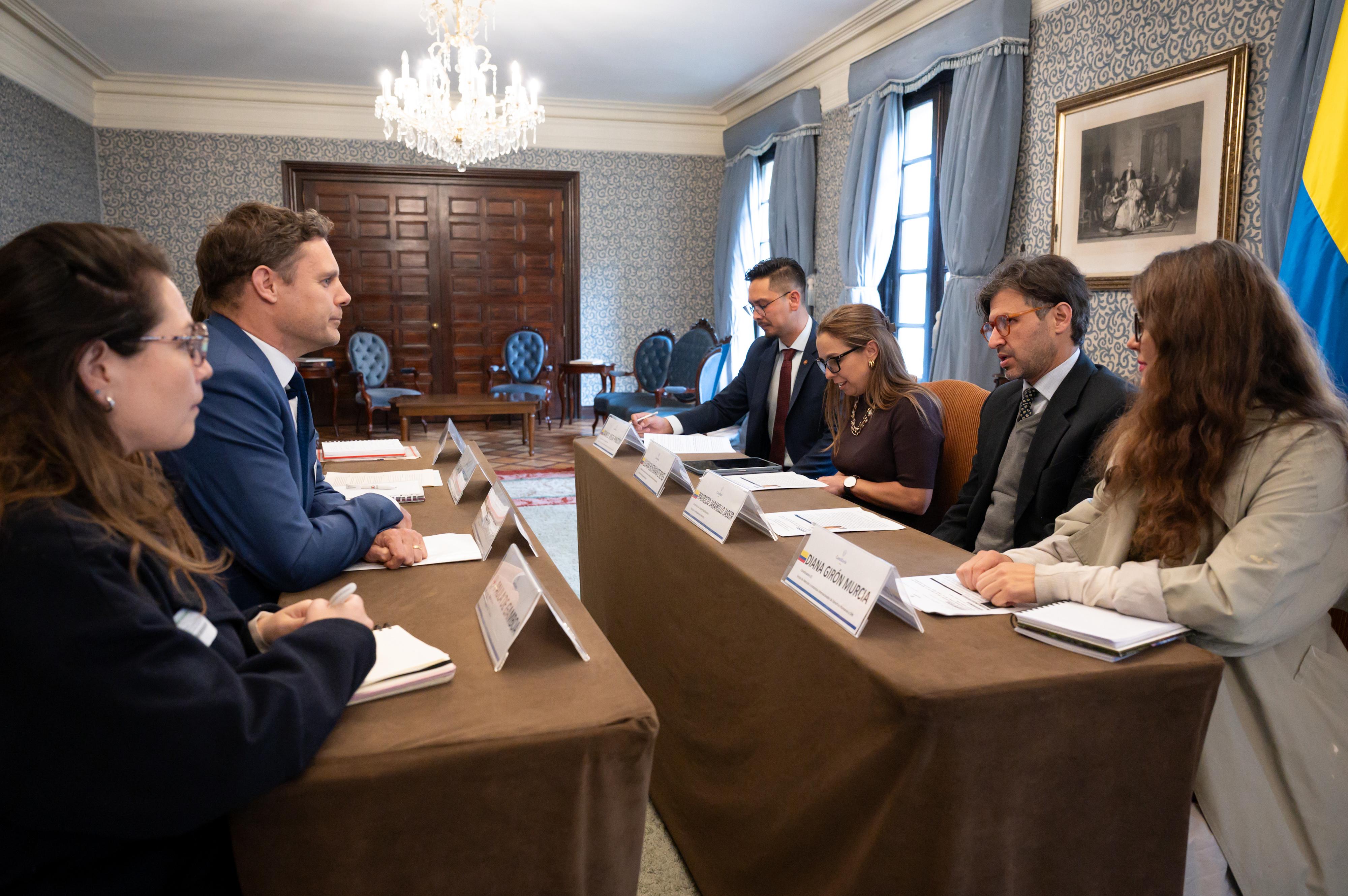 Reunión del Viceministro de Asuntos Multilaterales, Mauricio Jaramillo Jassir, con el jefe de delegación del Comité Internacional de la Cruz Roja - CICR en Colombia, Patrick Hamilton