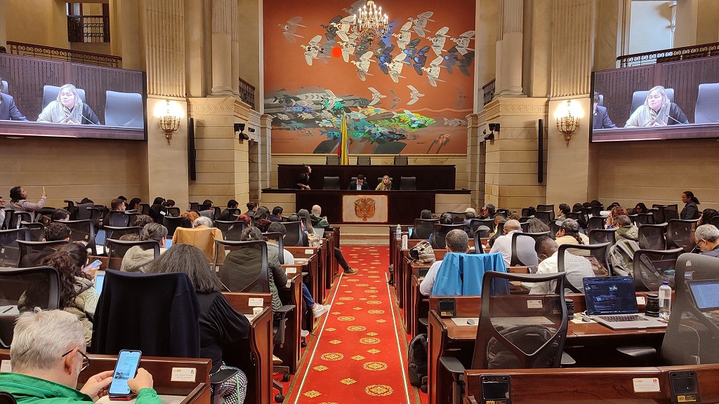 Cancillería participó en la Audiencia Pública sobre “Marcos regulatorios en derechos humanos para las empresas transnacionales” en el Congreso de la República