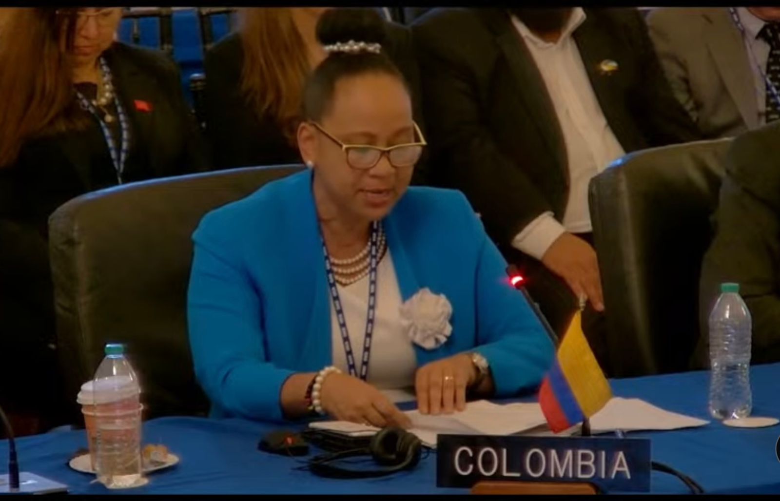 La protección de derechos y de la democracia en las Américas, temas del segundo día de la Viceministra de Asuntos Multilaterales en la Asamblea de la OEA  