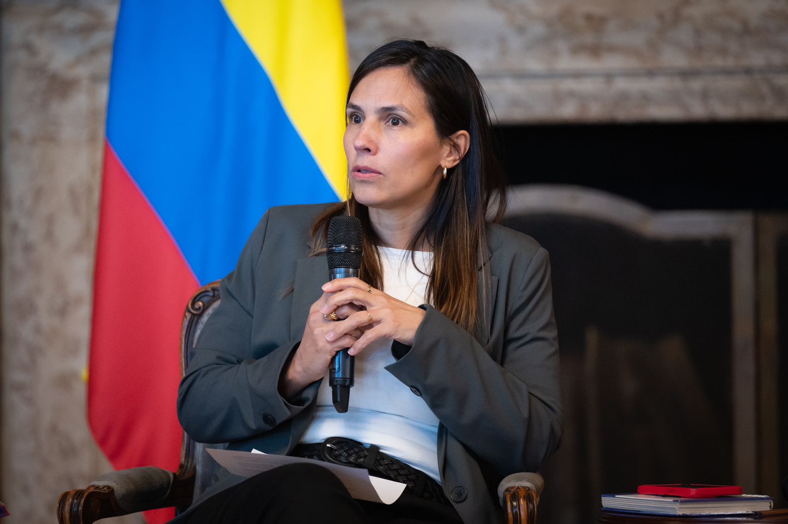 La Unidad del Ministerio de Relaciones Exteriores para Medidas de No Repetición, lideró el panel ‘Caminos para la No Repetición: experiencias históricas en torno a medidas de no repetición en Chile y Alemania’