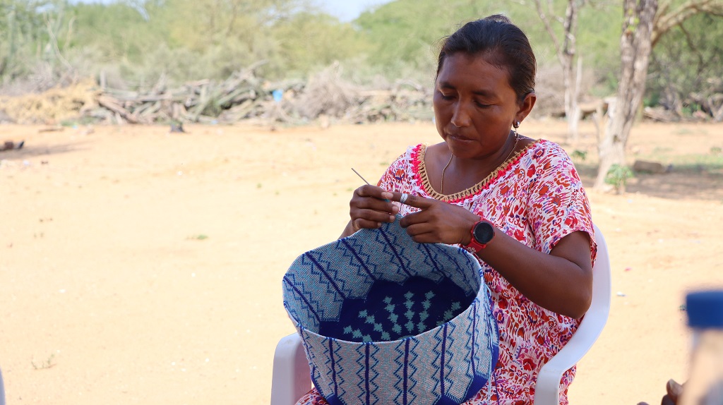 Cancillería apoyó proyecto implementado con comunidades Wayuu que benefició a 126 mujeres en los municipios de Uribia y Manaure en La Guajira