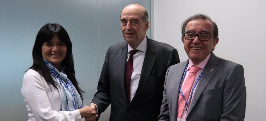Ministro Álvaro Leyva se reunió con Presidenta y Segunda Vicepresidenta de la Comisión Interamericana de Derechos Humanos (CIDH)