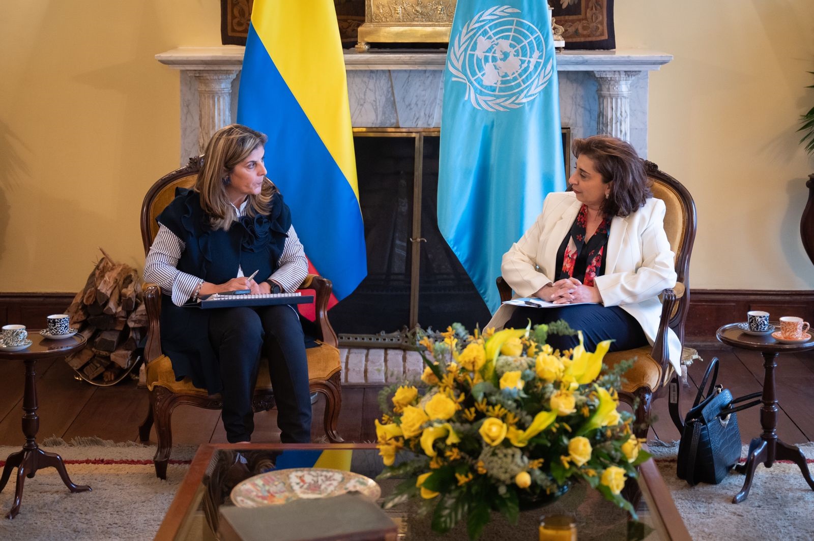 Viceministra de Asuntos Multilaterales (D), Laura Gil, dialogó con la Directora de ONU Mujeres para construir una agenda común de género con enfoque interseccional
