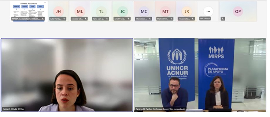 Ministerio de Relaciones Exteriores lideró el Evento de Aprendizaje sobre Protección Internacional de la Plataforma de Apoyo del Marco Integral Regional para la Protección y Soluciones