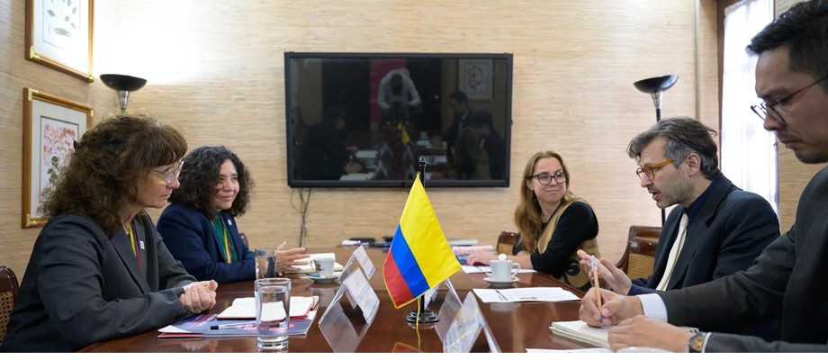 Viceministro de Asuntos Multilaterales recibe a la Jefe Interina de la FICR en Colombia