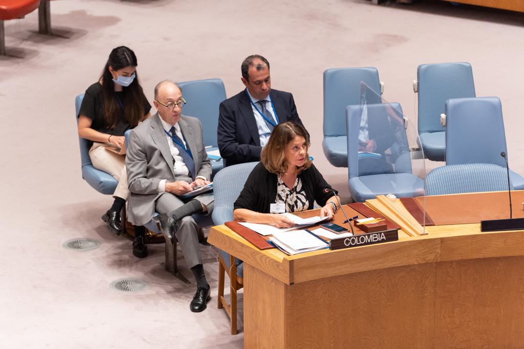 Palabras de la Vicepresidenta y Canciller, Marta Lucía Ramírez, en la presentación del informe trimestral de la Misión de Verificación de la ONU en Colombia, ante el Consejo de Seguridad de Naciones Unidas
