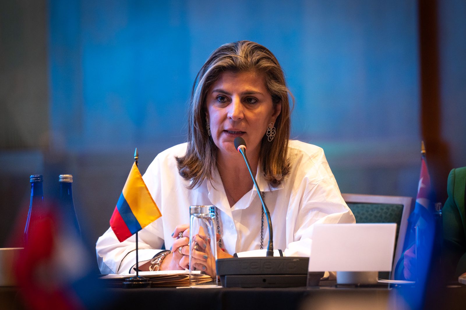 En reunión de Cancilleres de  Celac, Viceministra Laura Gil hace un llamado a 'acabar con la hipocresía' y llevar una voz unificada a la COP27