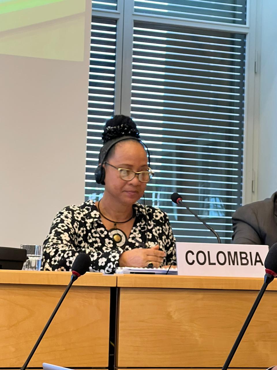 Concluyó el diálogo de Colombia con los miembros del Comité de Derechos Humanos de Naciones Unidas