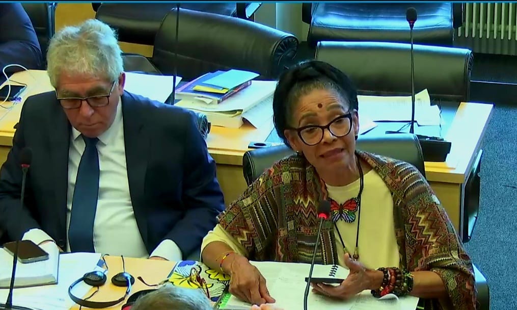 Concluyó el diálogo de Colombia con los miembros del Comité de Derechos Humanos de Naciones Unidas