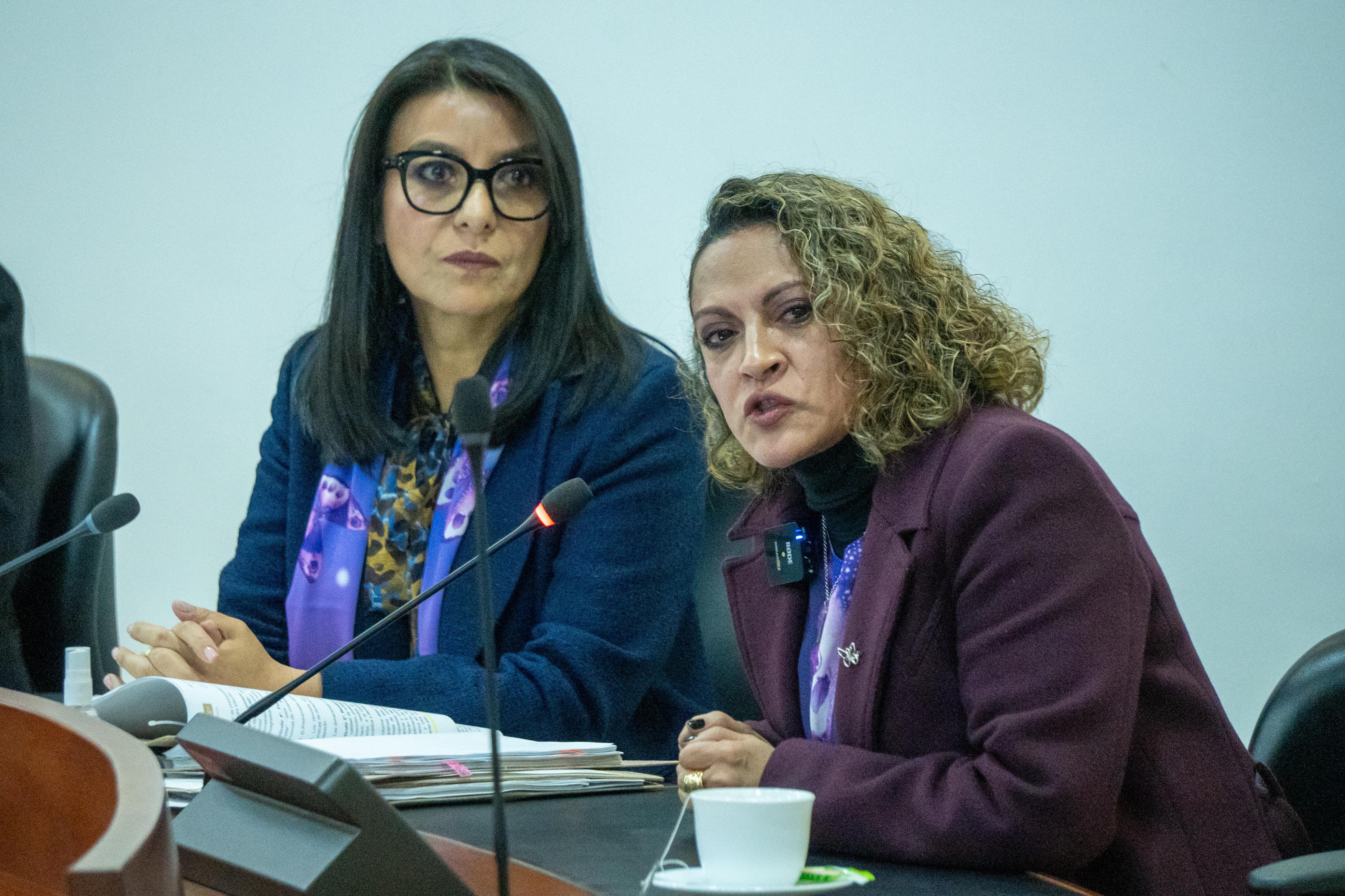 Gobierno del Cambio avanza en el cumplimiento de la Sentencia en el Caso Bedoya Lima y Otra vs Colombia