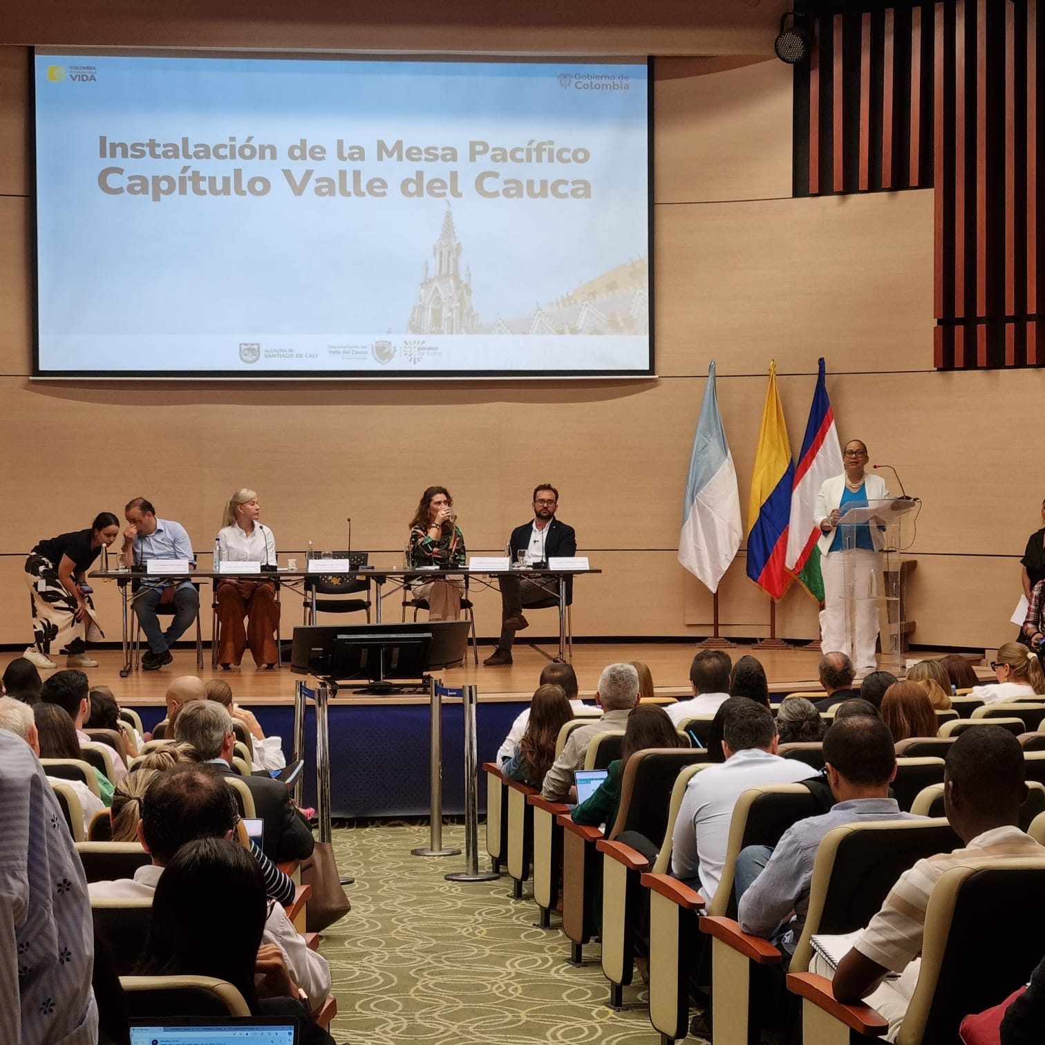 El Sistema Nacional de Cooperación Internacional instauró la Mesa Pacífico - Capítulo Valle del Cauca en Cali