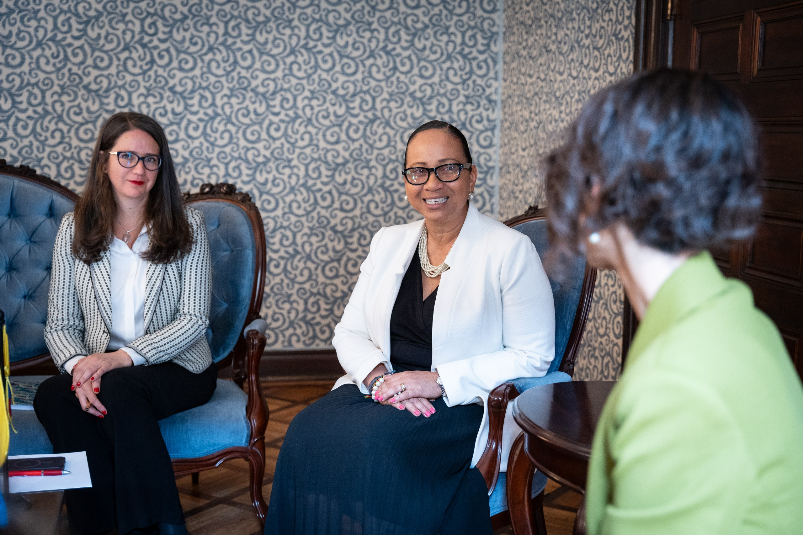 Viceministra de Asuntos Multilaterales, Elizabeth Taylor Jay, recibe al Grupo de Trabajo de las Naciones Unidas sobre la cuestión de los derechos humanos y las empresas transnacionales y otras empresas.