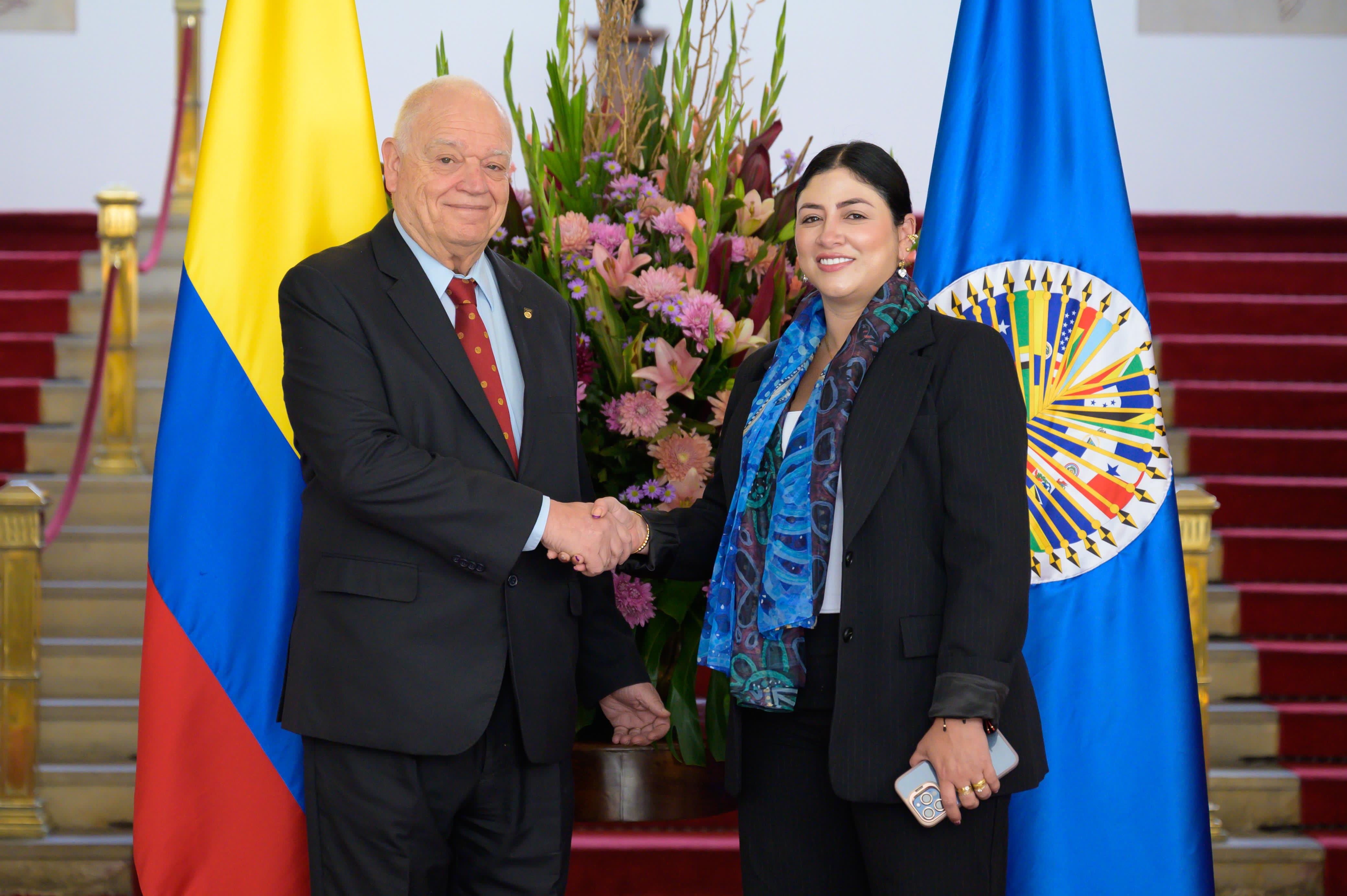 Reunión de Alto Nivel entre la Canciller Encargada y el Juez de la Corte Interamericana de Derechos Humanos Ricardo Pérez Manrique