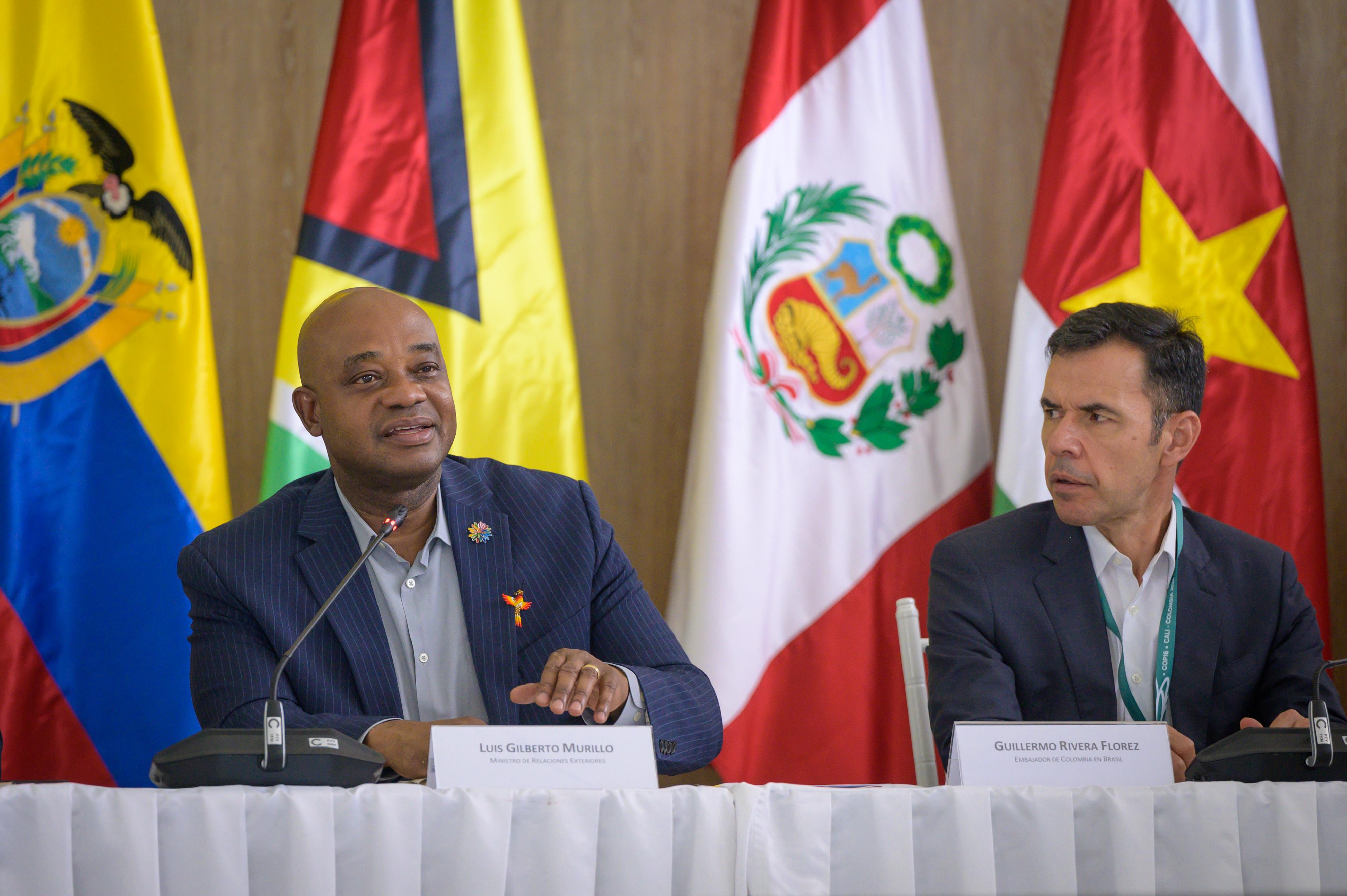 Ministros de Relaciones Exteriores de la Organización del Tratado de Cooperación Amazónica reafirmaron el compromiso con el desarrollo sostenible y la protección de la biodiversidad
