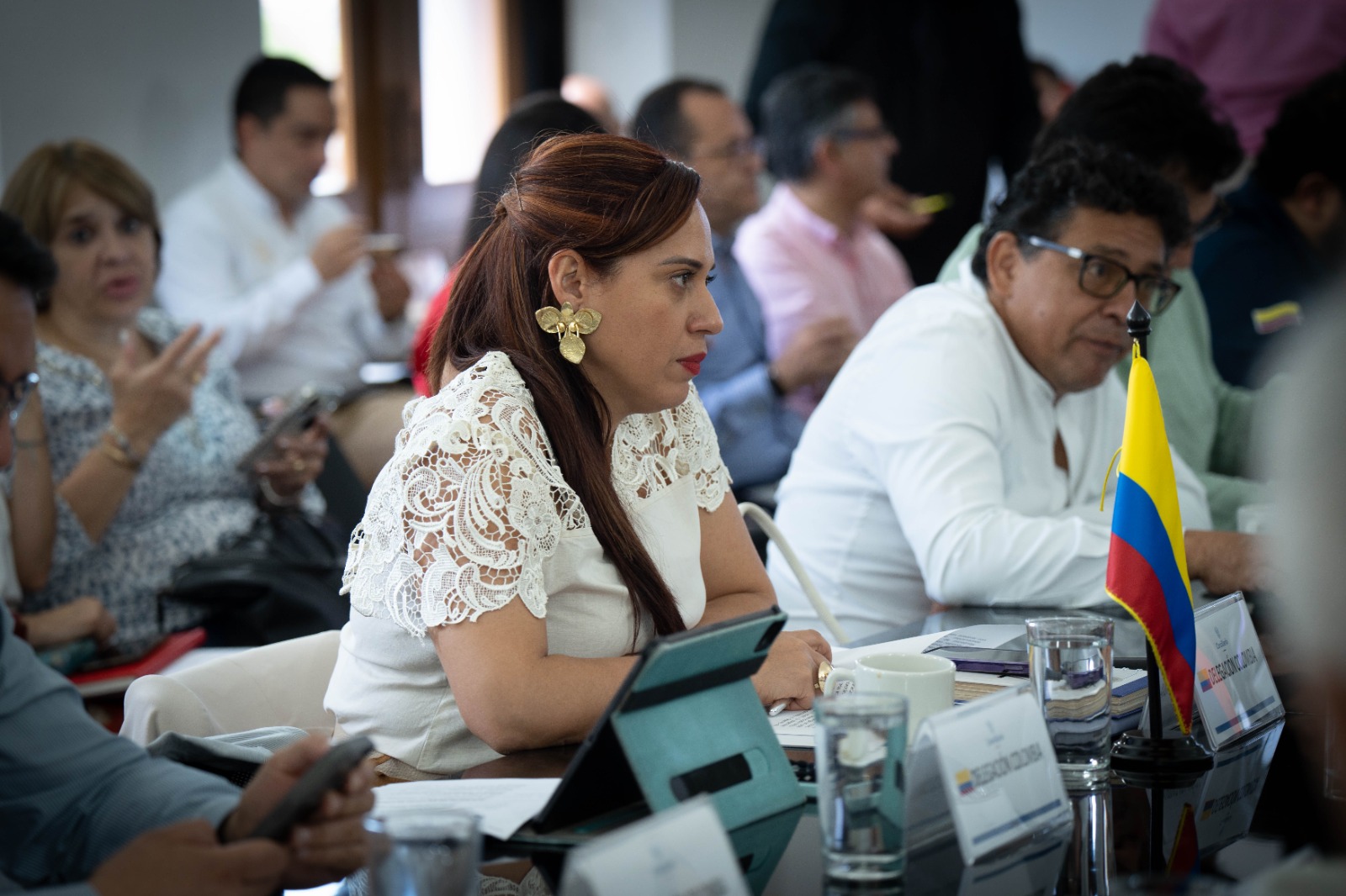 Comisión de Vecindad e Integración