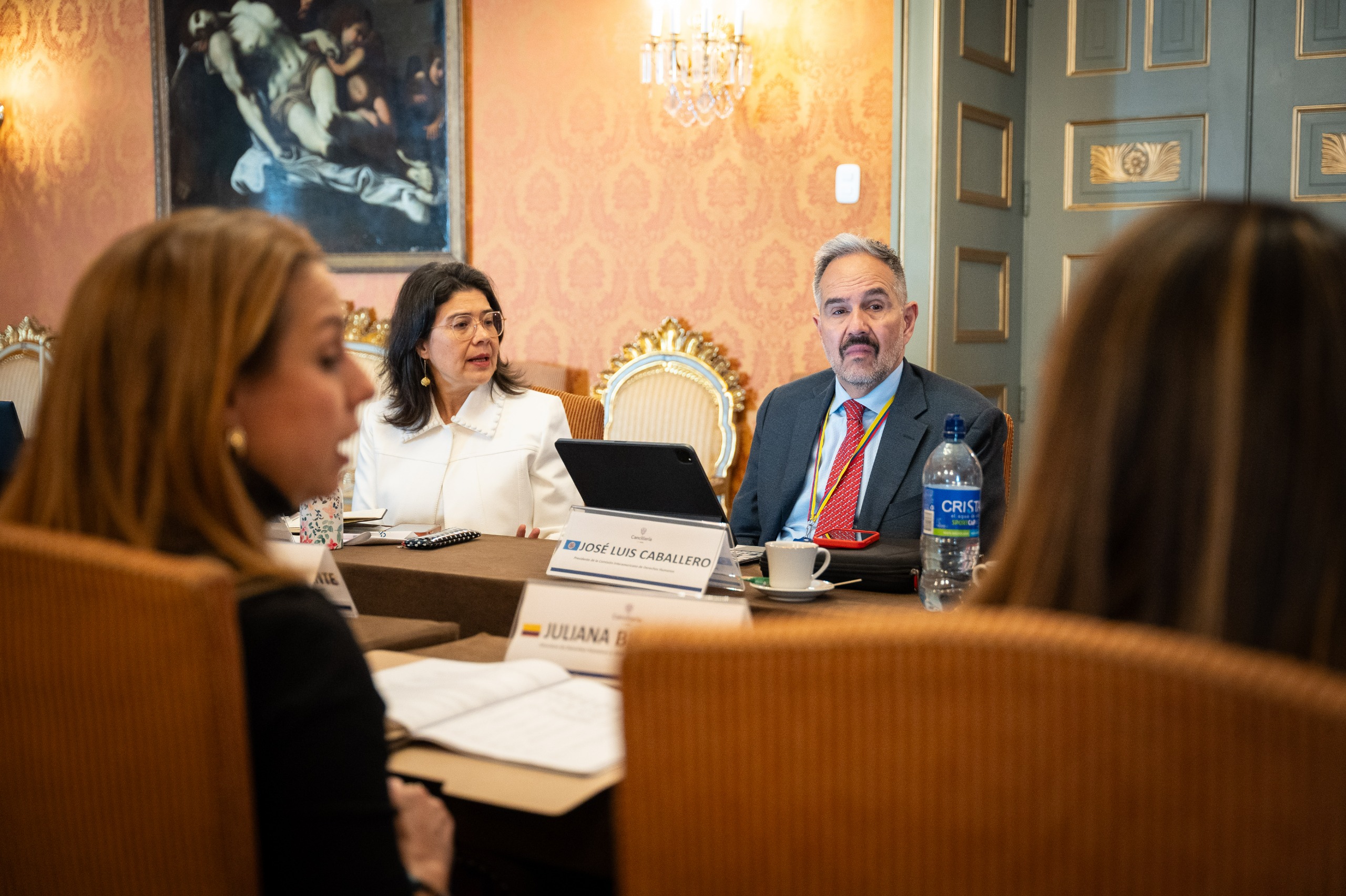 Cancillería lideró las Reuniones de Trabajo convocadas por la Comisión Interamericana de Derechos Humanos (CIDH)