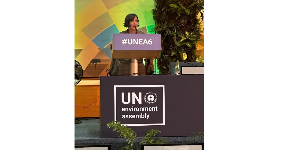 Participación estratégica de Colombia en el Sexto Período de Sesiones de la Asamblea de las Naciones Unidas sobre el Medio Ambiente