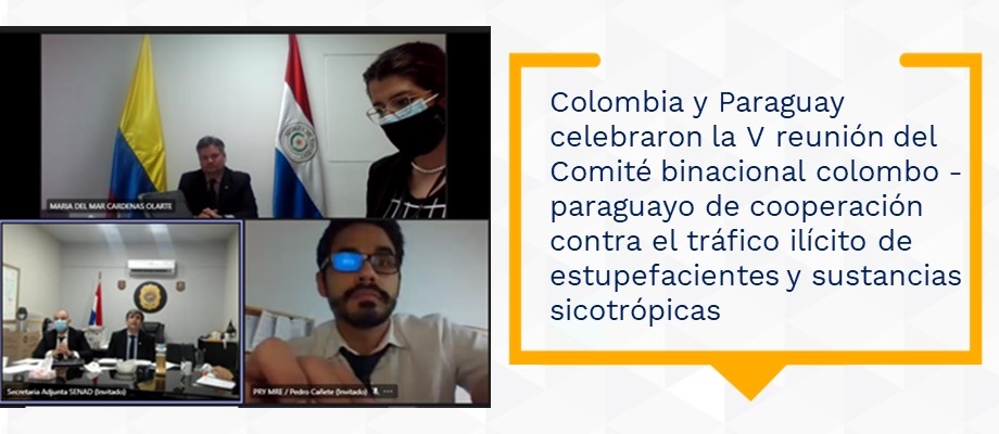Colombia y Paraguay celebraron la V reunión del Comité binacional colombo - paraguayo de cooperación contra el tráfico ilícito de estupefacientes y sustancias sicotrópicas