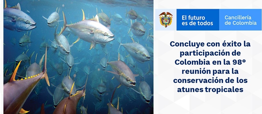 Concluye con éxito la participación de Colombia en la 98° reunión para la conservación de los atunes tropicales