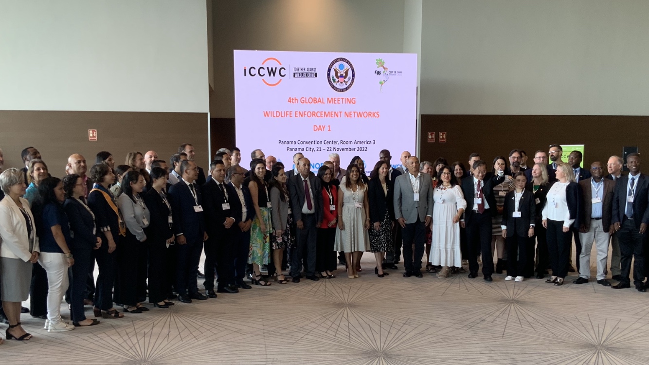 Colombia participa en la 4a Reunión Mundial de las Redes de Observancia y Aplicación de la Normativa de Vida Silvestre para fortalecer Red SedWEN