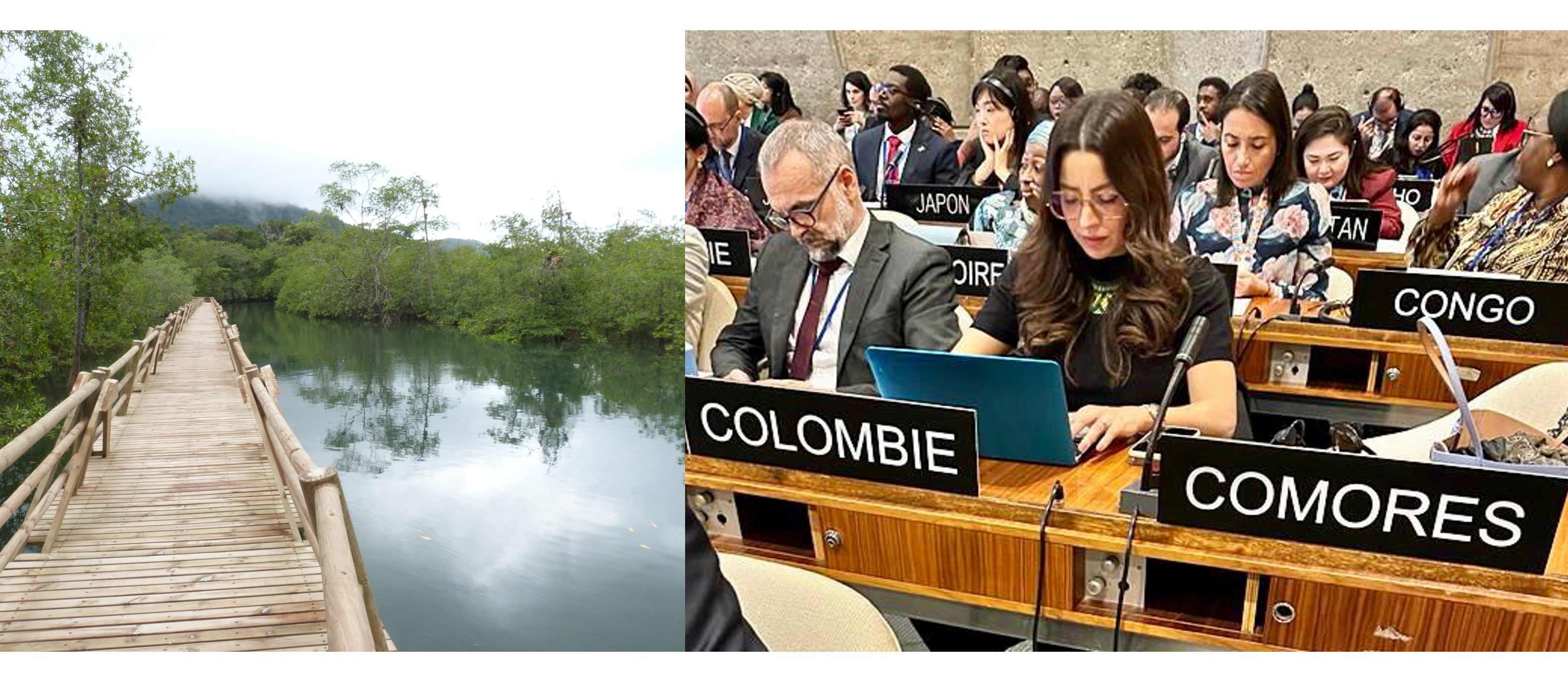 Colombia reelegida como miembro del Consejo del Programa sobre el Hombre y la Biosfera (MAB) de la UNESCO para el periodo 2023-2025
