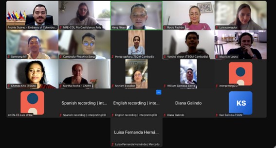 Captura de pantalla de la reunión virtual